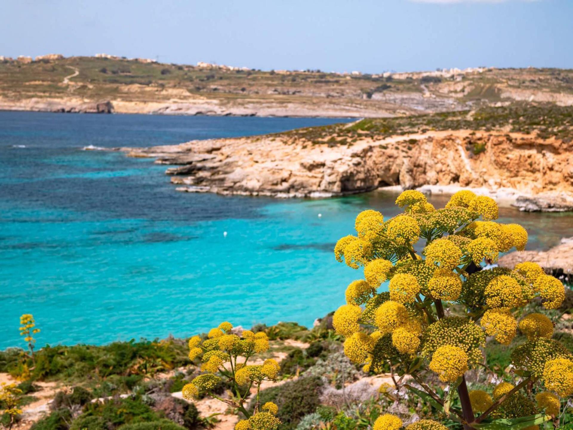 Cara Flats By Homely Mellieħa Dış mekan fotoğraf